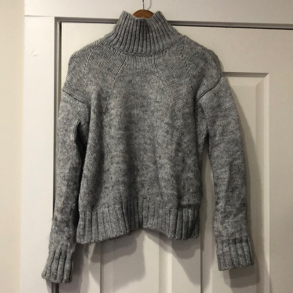 Zara Turtleneck Sweater